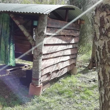 Sapphire Forest Garden Shepherd'S Hut Church Stretton Exterior photo