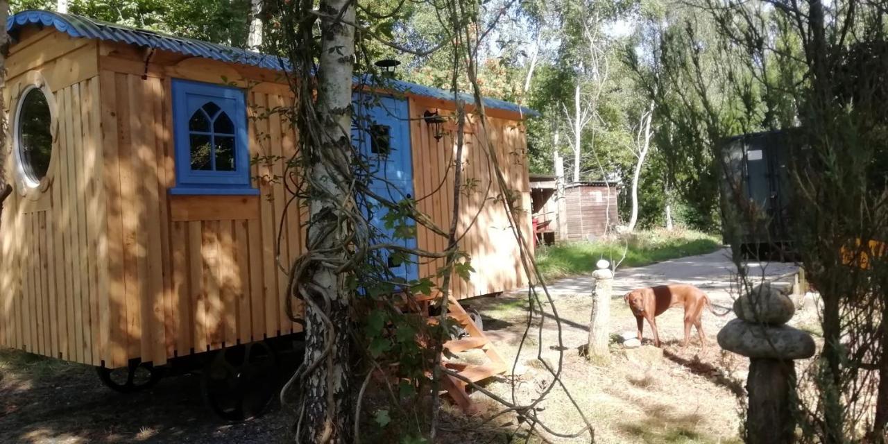 Sapphire Forest Garden Shepherd'S Hut Church Stretton Exterior photo