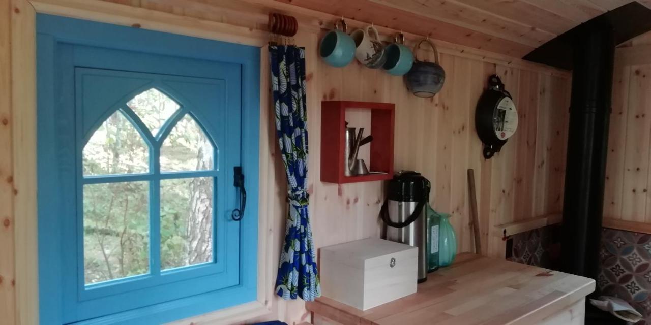 Sapphire Forest Garden Shepherd'S Hut Church Stretton Exterior photo
